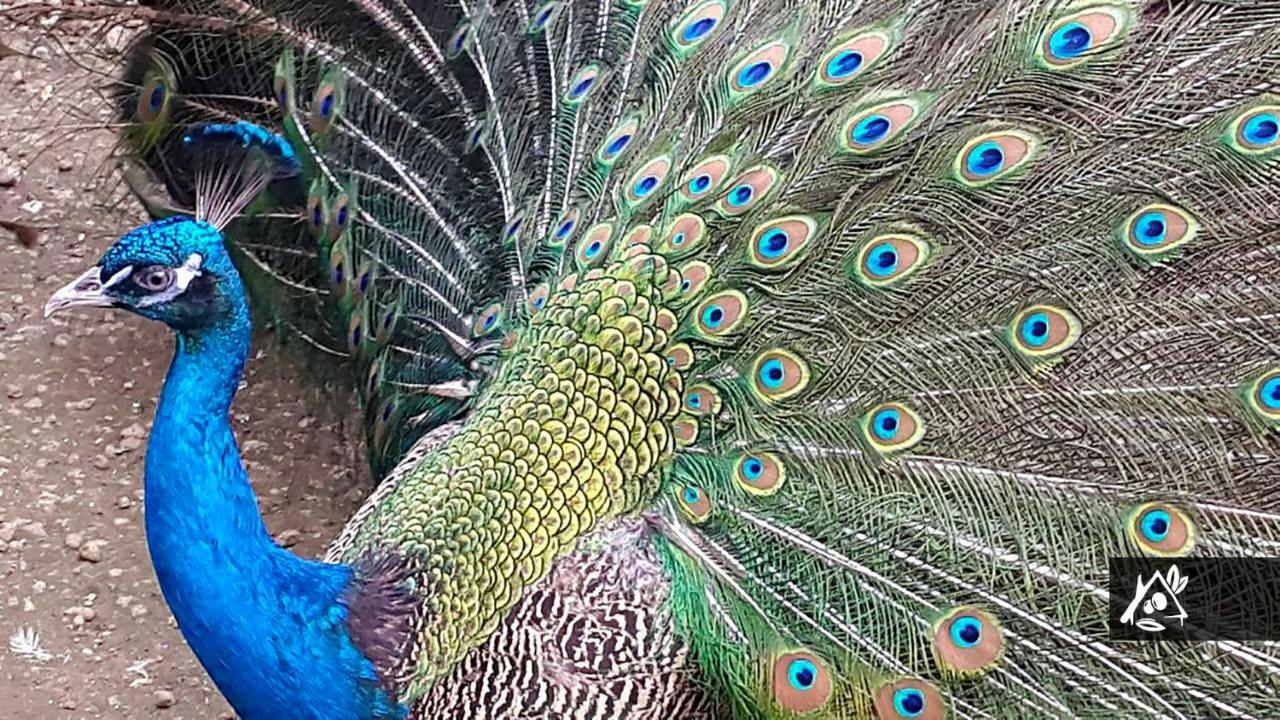 Quinta Do Paraiso Porto Martins エクステリア 写真