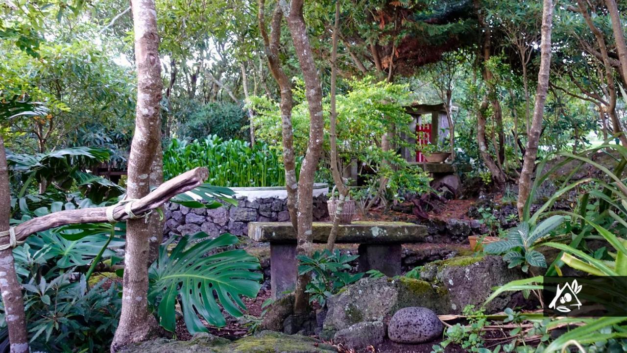 Quinta Do Paraiso Porto Martins エクステリア 写真