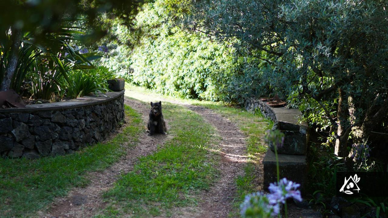 Quinta Do Paraiso Porto Martins エクステリア 写真