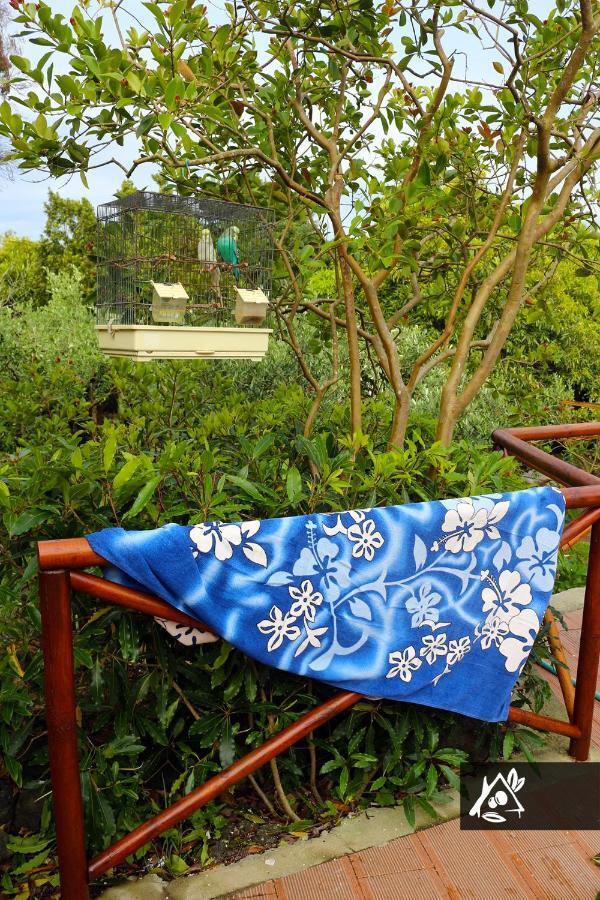 Quinta Do Paraiso Porto Martins エクステリア 写真