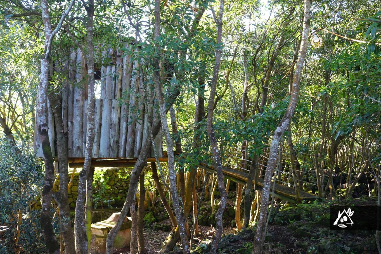 Quinta Do Paraiso Porto Martins エクステリア 写真